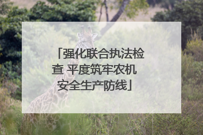 强化联合执法检查 平度筑牢农机安全生产防线