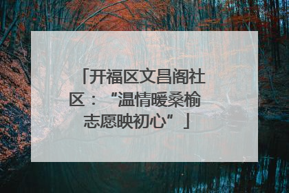 开福区文昌阁社区：“温情暖桑榆 志愿映初心”