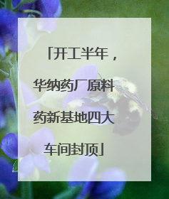 开工半年，华纳药厂原料药新基地四大车间封顶