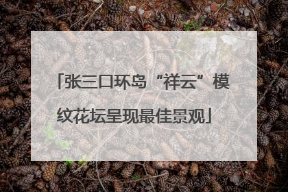 张三口环岛“祥云”模纹花坛呈现最佳景观