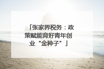 张家界税务：政策赋能育好青年创业“金种子”