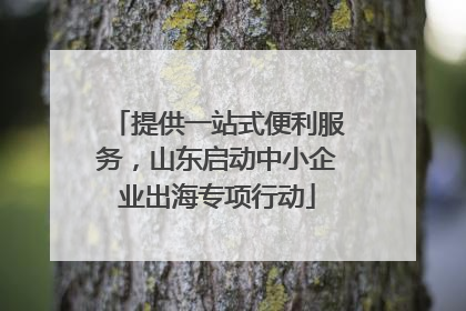 提供一站式便利服务，山东启动中小企业出海专项行动