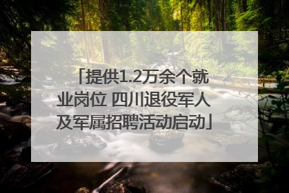 提供1.2万余个就业岗位 四川退役军人及军属招聘活动启动