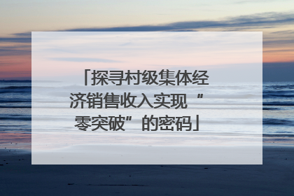 探寻村级集体经济销售收入实现“零突破”的密码