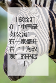 探徐汇｜在“中国最好公寓”，有一家盛开着“上海玫瑰”的书店