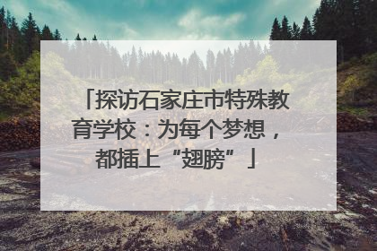 探访石家庄市特殊教育学校：为每个梦想，都插上“翅膀”