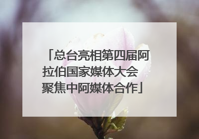 总台亮相第四届阿拉伯国家媒体大会 聚焦中阿媒体合作