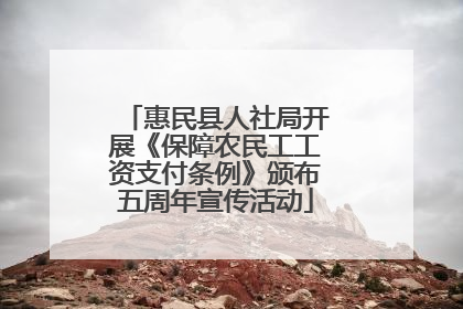 惠民县人社局开展《保障农民工工资支付条例》颁布五周年宣传活动