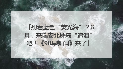 想看蓝色“荧光海”？6月，来瑞安北麂岛“追泪”吧！《90早新闻》来了