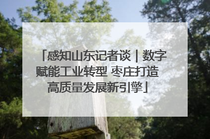 感知山东记者谈｜数字赋能工业转型 枣庄打造高质量发展新引擎