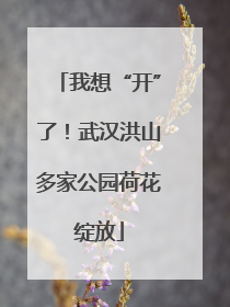 我想“开”了！武汉洪山多家公园荷花绽放