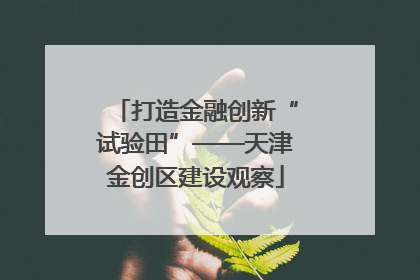 打造金融创新“试验田”——天津金创区建设观察