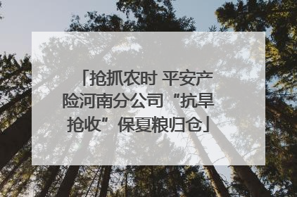 抢抓农时 平安产险河南分公司“抗旱抢收”保夏粮归仓