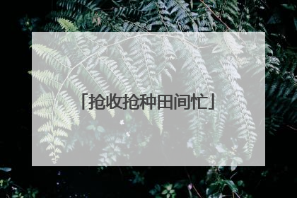 抢收抢种田间忙