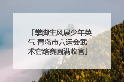 拳脚生风展少年英气 青岛市六运会武术套路赛圆满收官