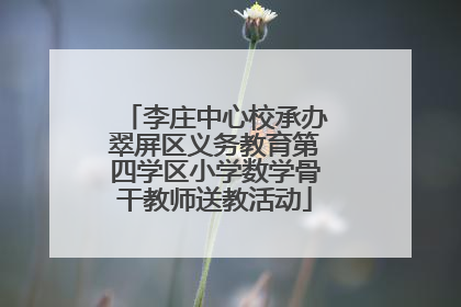 李庄中心校承办翠屏区义务教育第四学区小学数学骨干教师送教活动