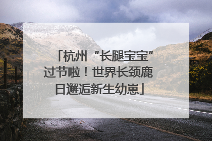 杭州“长腿宝宝”过节啦！世界长颈鹿日邂逅新生幼崽