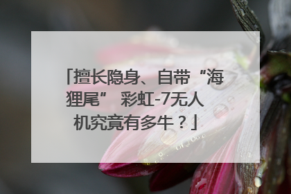 擅长隐身、自带“海狸尾” 彩虹-7无人机究竟有多牛？