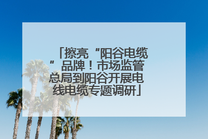 擦亮“阳谷电缆”品牌！市场监管总局到阳谷开展电线电缆专题调研