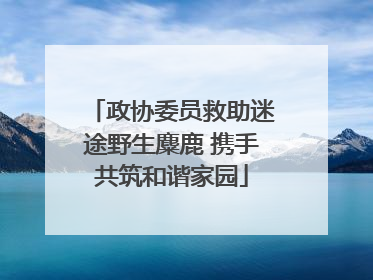 政协委员救助迷途野生麋鹿 携手共筑和谐家园