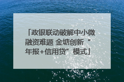 政银联动破解中小微融资难题 金塘创新“年报+信用贷”模式