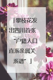 攀枝花发出四川首张“户籍人口直系亲属关系谱”