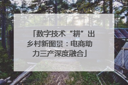 数字技术“耕”出乡村新图景：电商助力三产深度融合