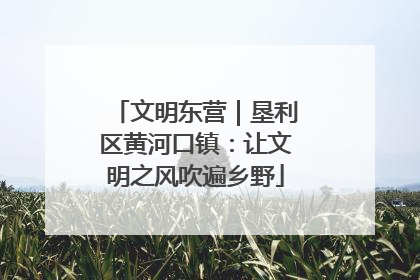 文明东营｜垦利区黄河口镇：让文明之风吹遍乡野