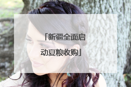新疆全面启动夏粮收购