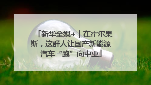 新华全媒+｜在霍尔果斯，这群人让国产新能源汽车“跑”向中亚