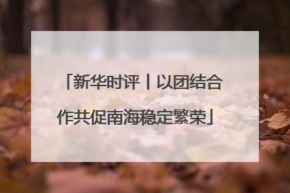 新华时评丨以团结合作共促南海稳定繁荣
