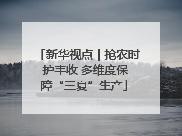新华视点｜抢农时 护丰收 多维度保障“三夏”生产