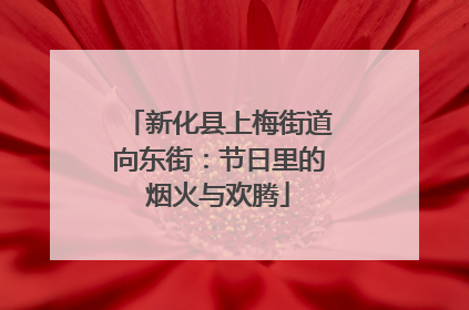 新化县上梅街道向东街：节日里的烟火与欢腾
