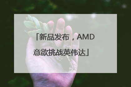 新品发布，AMD意欲挑战英伟达