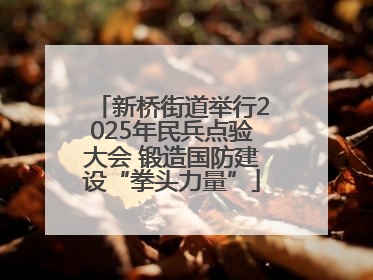 新桥街道举行2025年民兵点验大会 锻造国防建设“拳头力量”
