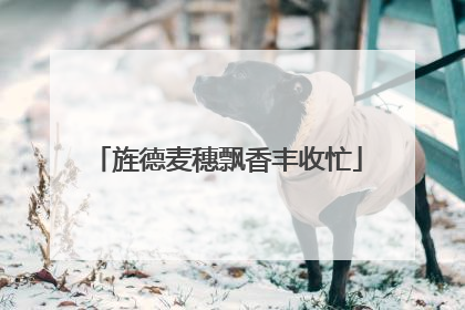 旌德麦穗飘香丰收忙