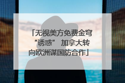 无视美方免费金穹“诱惑” 加拿大转向欧洲谋国防合作