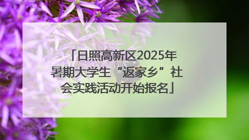 日照高新区2025年暑期大学生“返家乡”社会实践活动开始报名