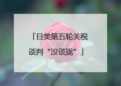 日美第五轮关税谈判“没谈拢”