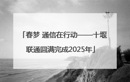 春梦 通信在行动——十堰联通圆满完成2025年