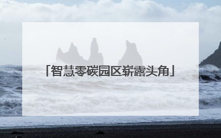智慧零碳园区崭露头角