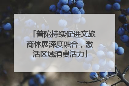 普陀持续促进文旅商体展深度融合，激活区域消费活力
