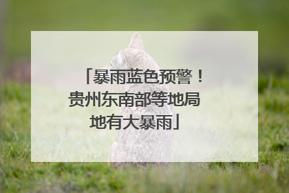 暴雨蓝色预警！贵州东南部等地局地有大暴雨