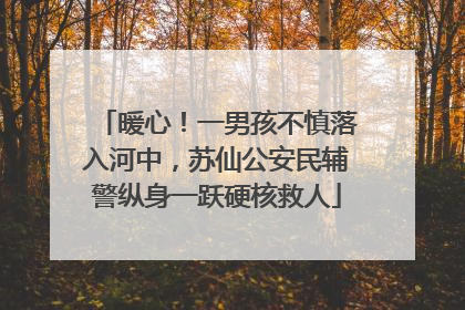 暖心！一男孩不慎落入河中，苏仙公安民辅警纵身一跃硬核救人