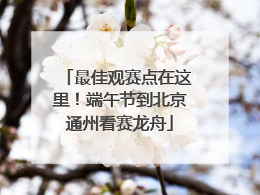 最佳观赛点在这里！端午节到北京通州看赛龙舟