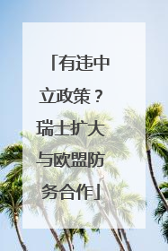 有违中立政策？瑞士扩大与欧盟防务合作
