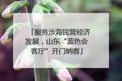 服务涉海民营经济发展，山东“蓝色会客厅”开门纳客