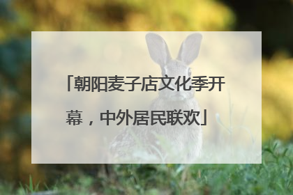 朝阳麦子店文化季开幕，中外居民联欢