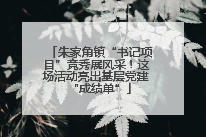 朱家角镇“书记项目”竞秀展风采！这场活动亮出基层党建“成绩单”