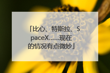 比心、特斯拉、SpaceX……现在的情况有点微妙